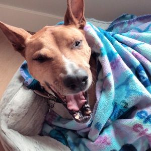 Meet your Posher, Renata